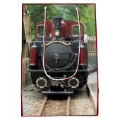 STEAM TRAINS MEDIUM CADEAUZAKJE (Achterkant)