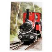 STEAM TRAINS MEDIUM CADEAUZAKJE (Achterkant)
