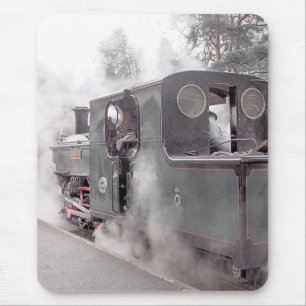 STEAM TRAINS MUISMAT
