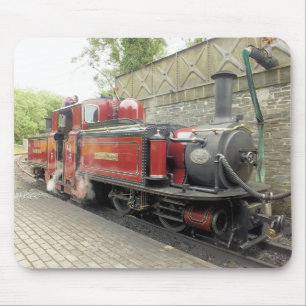 STEAM TRAINS MUISMAT