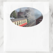 STEAM TRAINS OVALE STICKER (Tas)