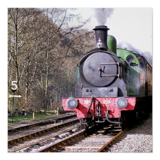 STEAM TRAINS PERFECT POSTER (Voorkant)