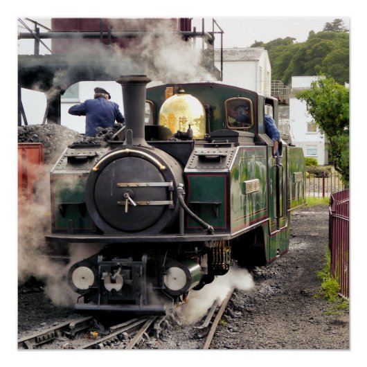 STEAM TRAINS PERFECT POSTER (Voorkant)