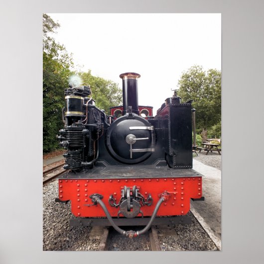 STEAM TRAINS POSTER (Voorkant)