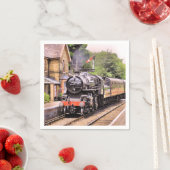 STEAM TRAINS SERVET (Insitu)