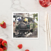 STEAM TRAINS SERVET (Insitu)