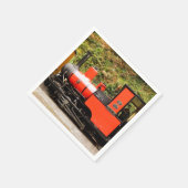 STEAM TRAINS SERVET (Hoek)