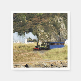 STEAM TRAINS SERVETTEN