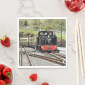 STEAM TRAINS SERVETTEN (Insitu)