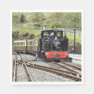 STEAM TRAINS SERVETTEN