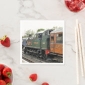 STEAM TRAINS SERVETTEN (Insitu)