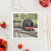 STEAM TRAINS SERVETTEN (Insitu)