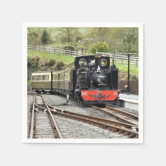 STEAM TRAINS SERVETTEN (Voorkant)