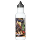 STEAM TRAINS WATERFLES  (Links)