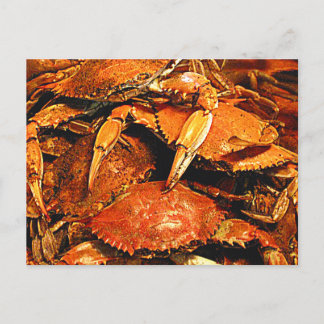 Steamed Maryland Hard Crabs Briefkaart