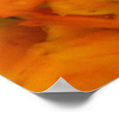 Steamed Shrimp and Cocktail Sauce Poster (Hoek)