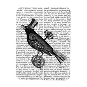 Steampunk Crow 2 Magneet