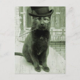  Steampunk LOL Funny Cat Briefkaart