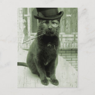 Steampunk LOL Funny Cat Briefkaart