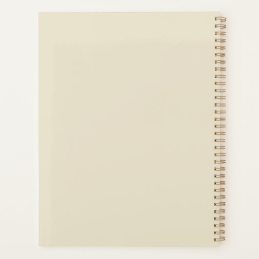  Steampunk Zeppelin (10) Planner (Achterkant)