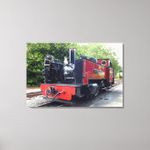 STEAMTREIN CANVAS AFDRUK (Voorkant)
