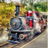 STEAMTREIN FOTOBLOKKEN