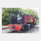 STEAMTREIN INPAKPAPIER VEL (Voorkant 2)