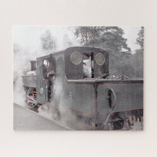 STEAMTREIN LEGPUZZEL