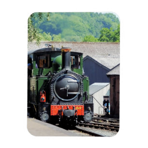 STEAMTREIN MAGNEET