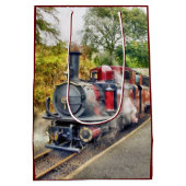 STEAMTREIN MEDIUM CADEAUZAKJE (Achterkant)