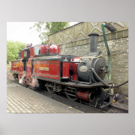 STEAMTREIN POSTER (Voorkant)