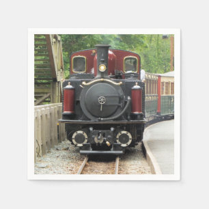 STEAMTREIN SERVET