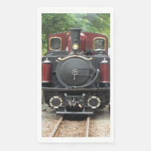STEAMTREIN SERVET
