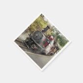 STEAMTREIN SERVET (Hoek)