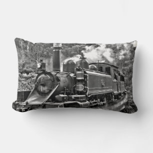 Steamtrein voor zwart en wit erfgoed kussen