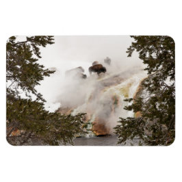 Steamy Bison in Yellowstone National Park Magneet