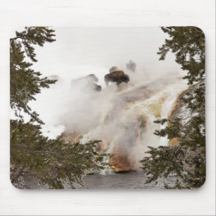 Steamy Bison Mousepad Muismat