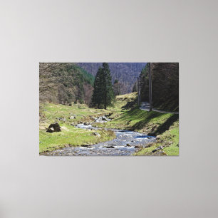 Steaza, nabij Sibiu Canvas Afdruk