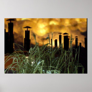 stedelijk gras poster