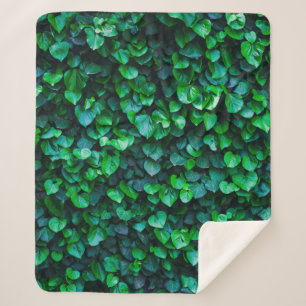 Stedelijk oerwoud binnentuinieren sherpa deken