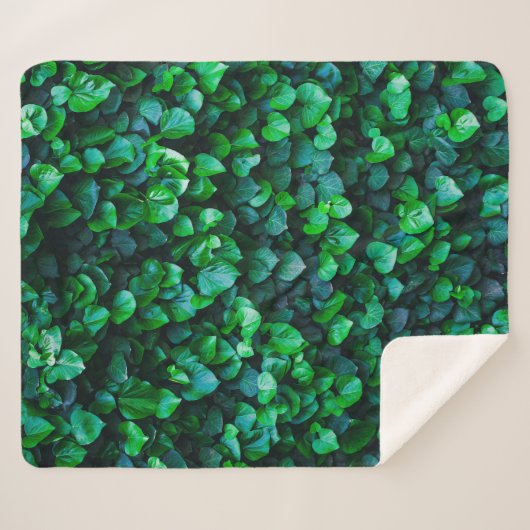 Stedelijk oerwoud binnentuinieren sherpa deken (Voorkant (horizontaal))