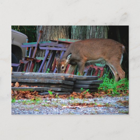 Stedelijke integratie briefkaart (Voorkant)