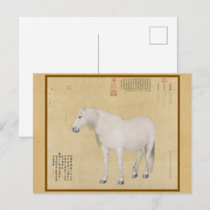 Steed - een paard genaamd Benxiaocong Chinese beel Briefkaart