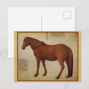 Steed - een paard genaamd Dawanliu Chinese Fine Ar Briefkaart