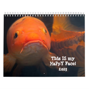 Steekproef 2013 kalender