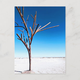 Steel Tree, Cober Pedy Australië Briefkaart