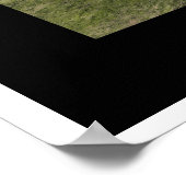 Steelblue Poster (Hoek)