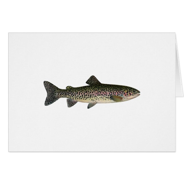 Steelhead (Grote Meren) (Voorkant Horizontaal)