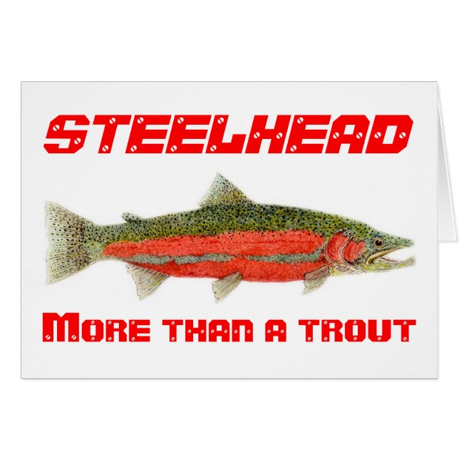 Steelhead- Meer dan een forelkaart (Voorkant Horizontaal)