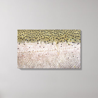 Steelhead op Canvas